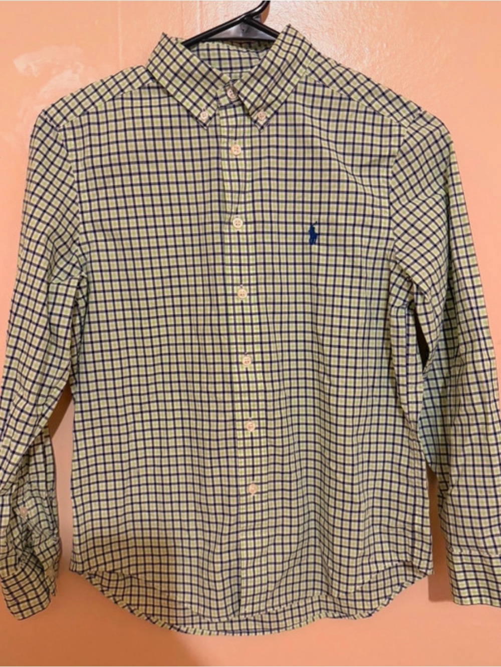 Ralph Lauren Blue & Light Green Checked Button-Down Shirt